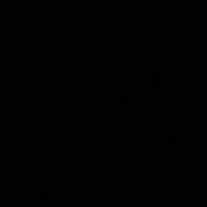 Meet your Posher, Frances